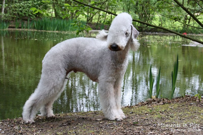 2010-05-01 Svet und Aveline (14).JPG